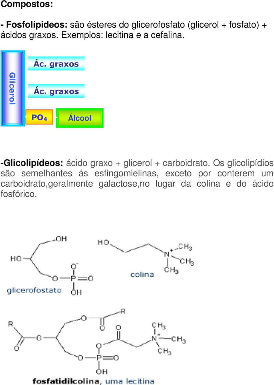 Glicerol PO 4 Álcool -Glicolipídeos: ácido graxo + glicerol + carboidrato.