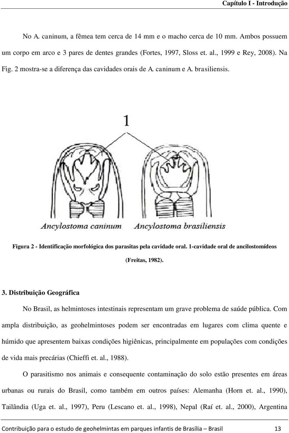 1-cavidade oral de ancilostomídeos (Freitas, 1982). 3. Distribuição Geográfica No Brasil, as helmintoses intestinais representam um grave problema de saúde pública.