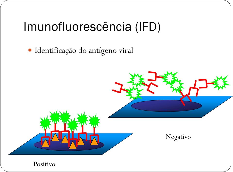 Identificação do