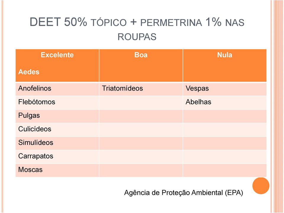 Vespas Flebótomos Abelhas Pulgas Culicídeos