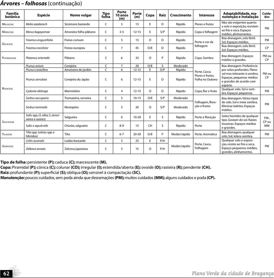 Freixo-europeu C 7 45 O/E O Rápido Porte e cor da folhagem PLATANACEAE Platanus orientalis Plátano C 6 35 O P Rápido Copa.