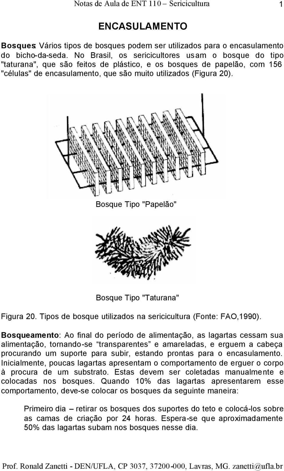 Bosque Tipo "Papelão" Bosque Tipo "Taturana" Figura 20. Tipos de bosque utilizados na sericicultura (Fonte: FAO,1990).