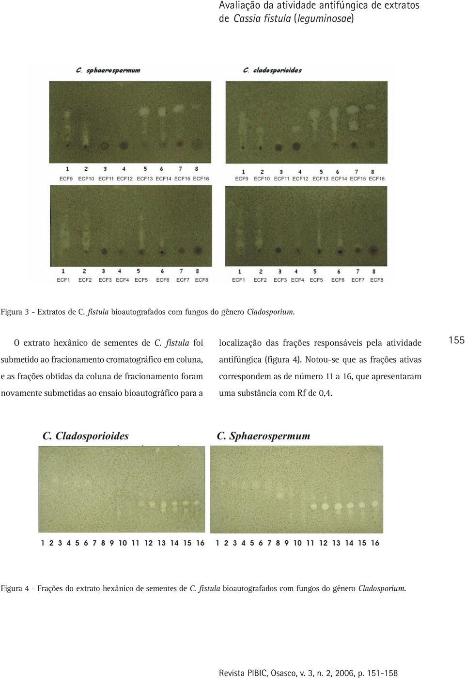 fistula foi submetido ao fracionamento cromatográfico em coluna, e as frações obtidas da coluna de fracionamento foram novamente submetidas ao ensaio bioautográfico para