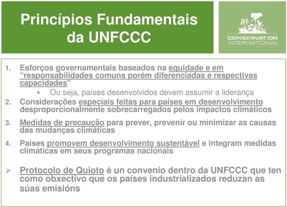 liderança 2. Considerações especiais feitas para países em desenvolvimento desproporcionalmente sobrecarregados pelos impactos climáticos 3.