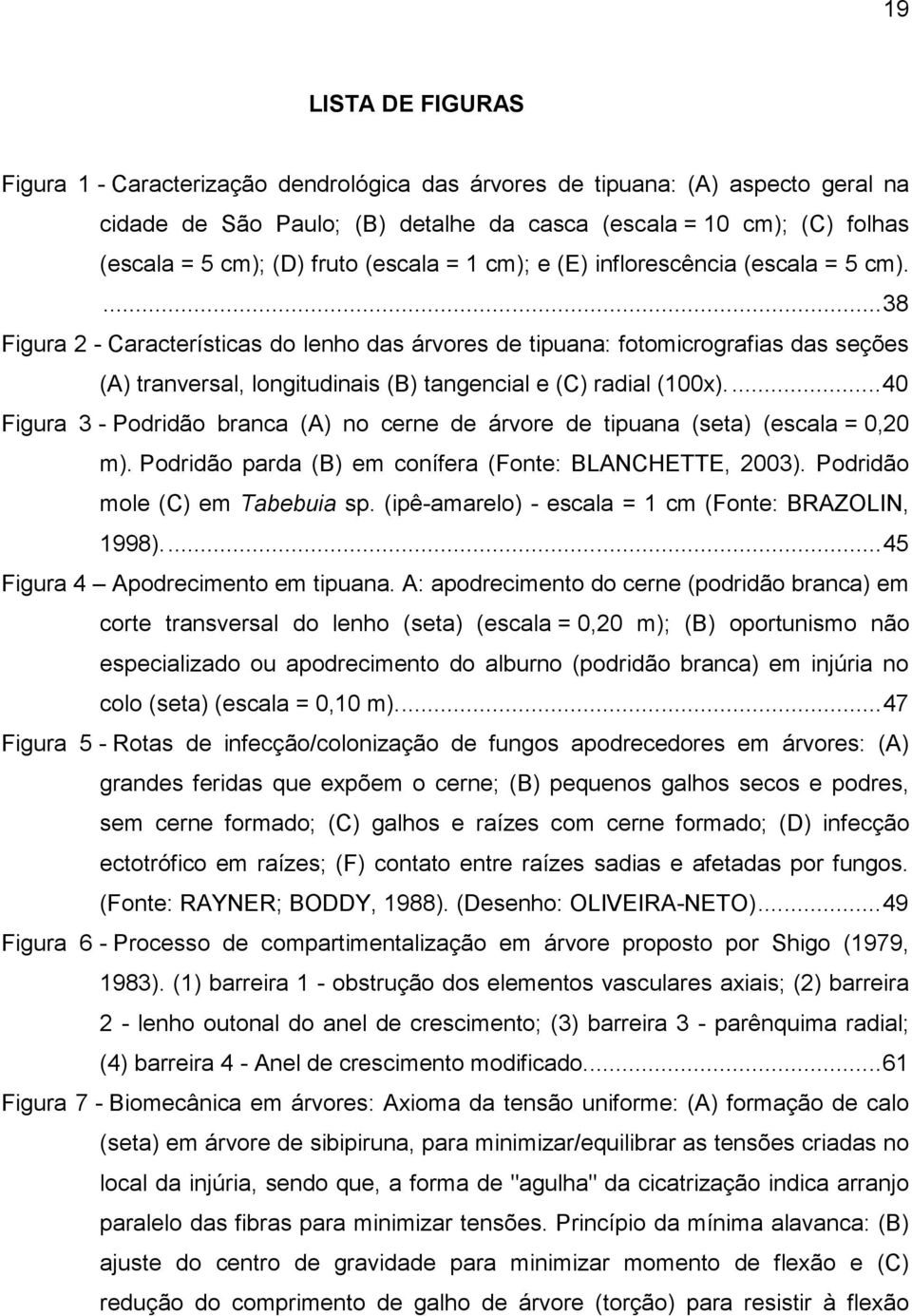 ... 38 Figura 2 - Características do lenho das árvores de tipuana: fotomicrografias das seções (A) tranversal, longitudinais (B) tangencial e (C) radial (100x).