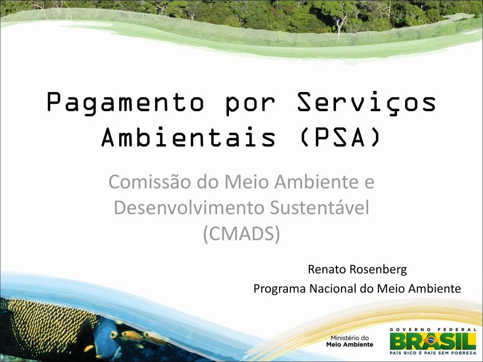 Desenvolvimento Sustentável (CMADS)