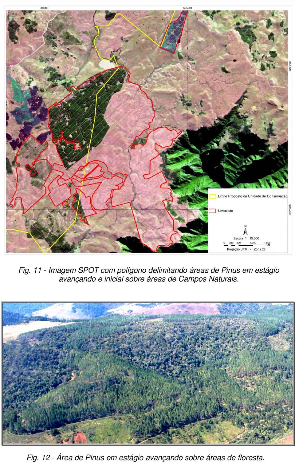 sobre áreas de Campos Naturais. Fig.