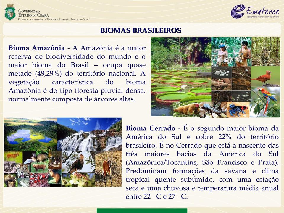 Bioma Cerrado - É o segundo maior bioma da América do Sul e cobre 22% do território brasileiro.