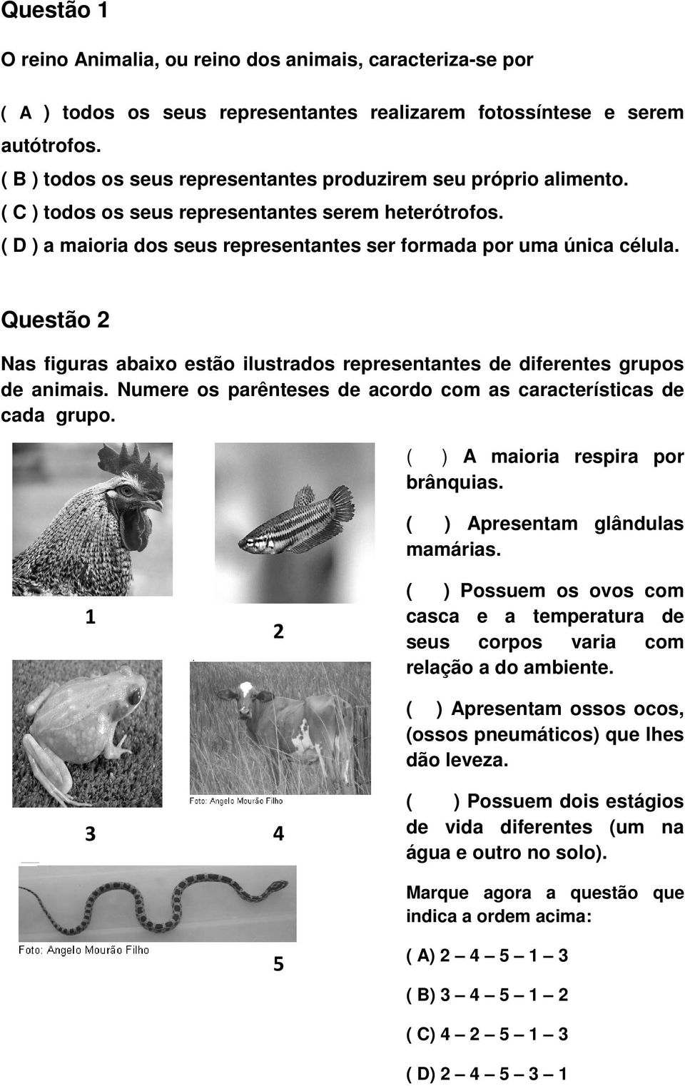Questão 2 Nas figuras abaixo estão ilustrados representantes de diferentes grupos de animais. Numere os parênteses de acordo com as características de cada grupo. ( ) A maioria respira por brânquias.
