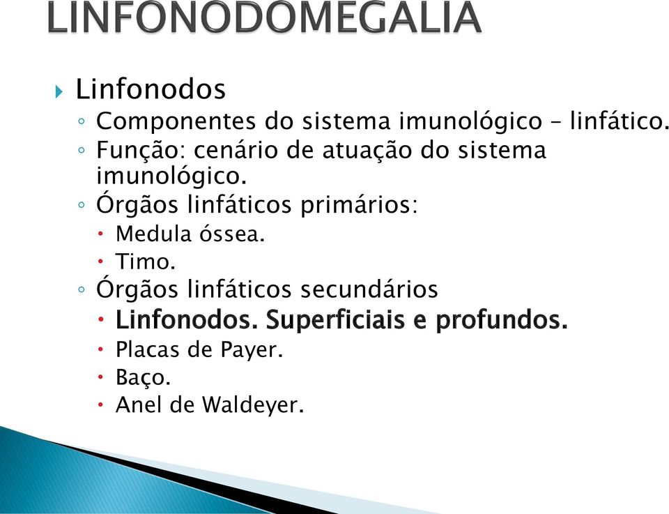 Órgãos linfáticos primários: Medula óssea. Timo.