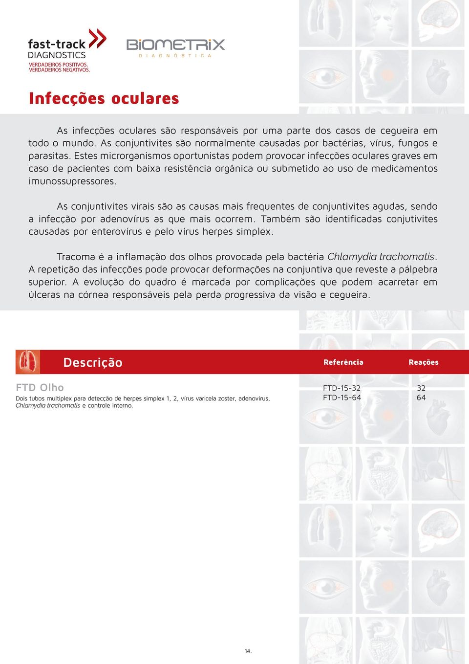 As conjuntivites virais são as causas mais frequentes de conjuntivites agudas, sendo a infecção por adenovírus as que mais ocorrem.