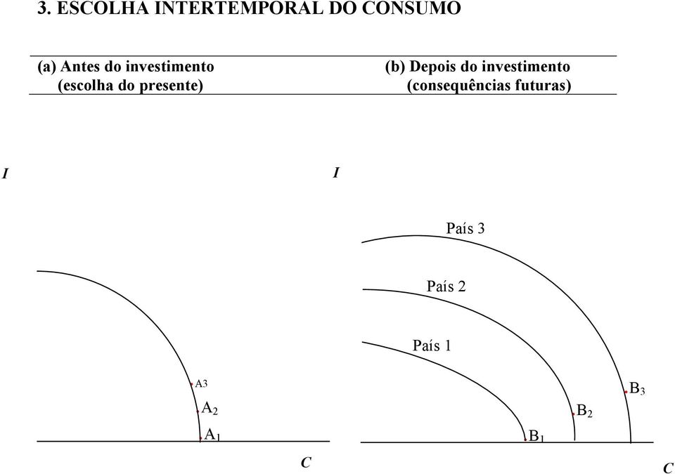 Depois do investimento (consequências futuras)