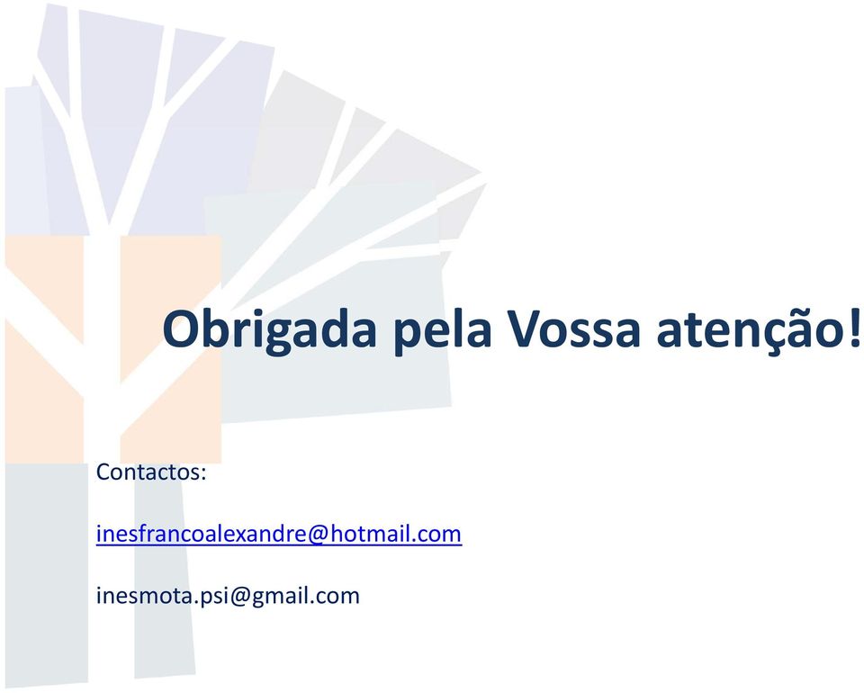 Contactos: