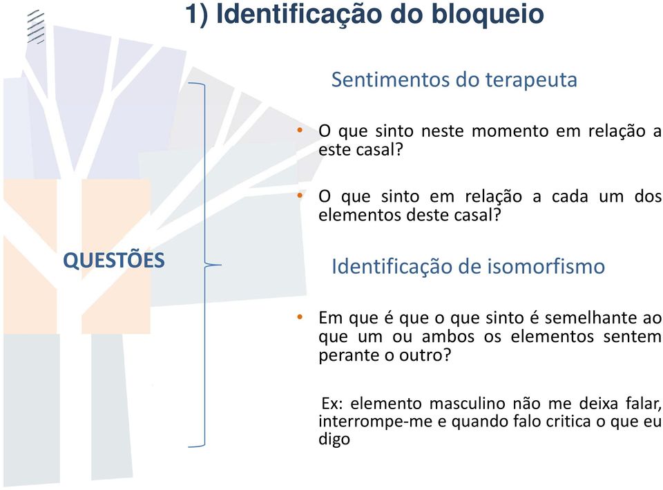 QUESTÕES Identificação de isomorfismo Em que é que o que sinto é semelhante ao que um ou ambos