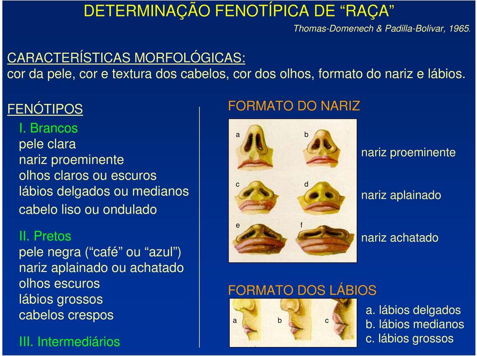 Brancos pele clara nariz proeminente olhos claros ou escuros lábios delgados ou medianos cabelo liso ou ondulado II.