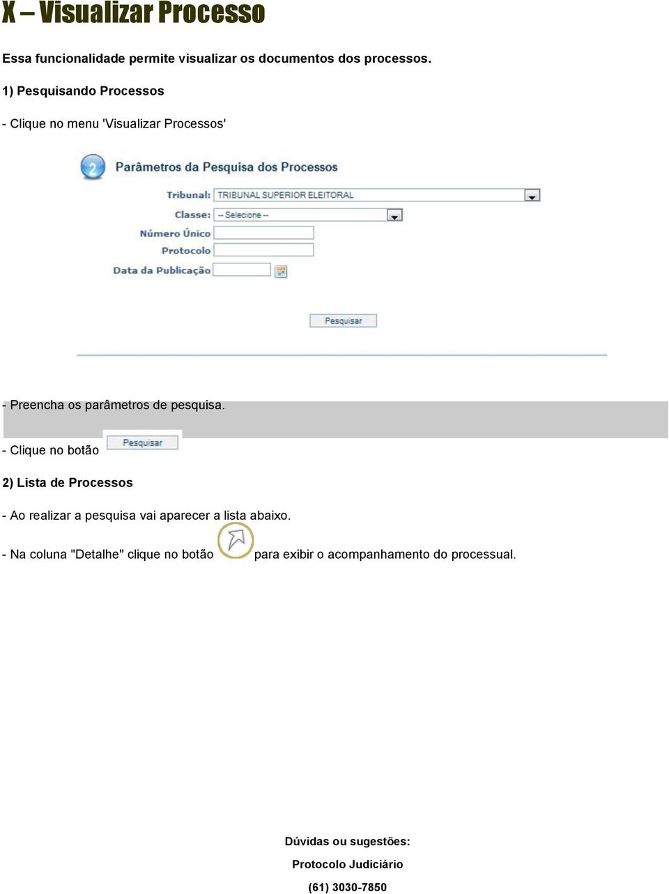 - Clique no botão 2) Lista de Processos - Ao realizar a pesquisa vai aparecer a lista abaixo.