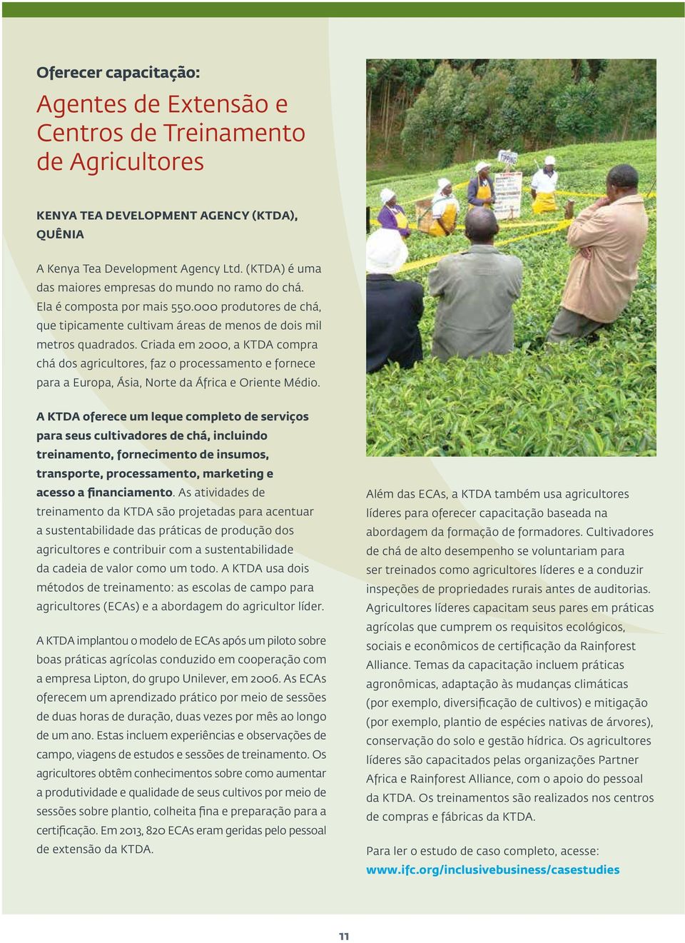 Criada em 2000, a KTDA compra chá dos agricultores, faz o processamento e fornece para a Europa, Ásia, Norte da África e Oriente Médio.