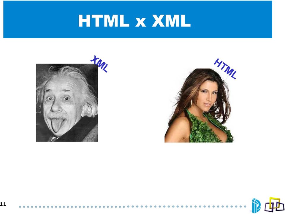 HTML 11