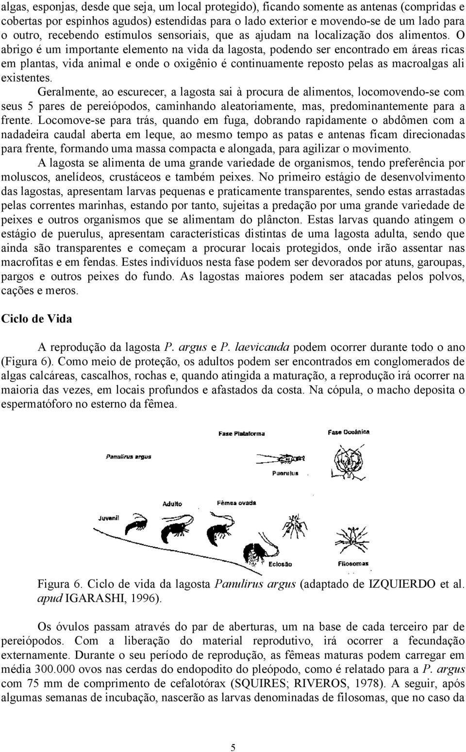 O abrigo é um importante elemento na vida da lagosta, podendo ser encontrado em áreas ricas em plantas, vida animal e onde o oxigênio é continuamente reposto pelas as macroalgas ali existentes.