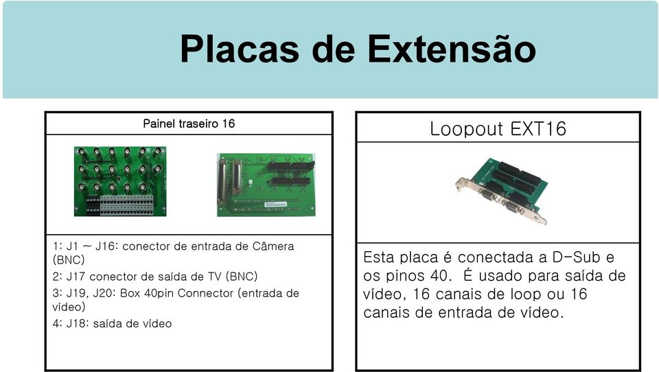 Connector (entrada de vídeo) 4: J18: saída de vídeo Esta placa é conectada a D-Sub e