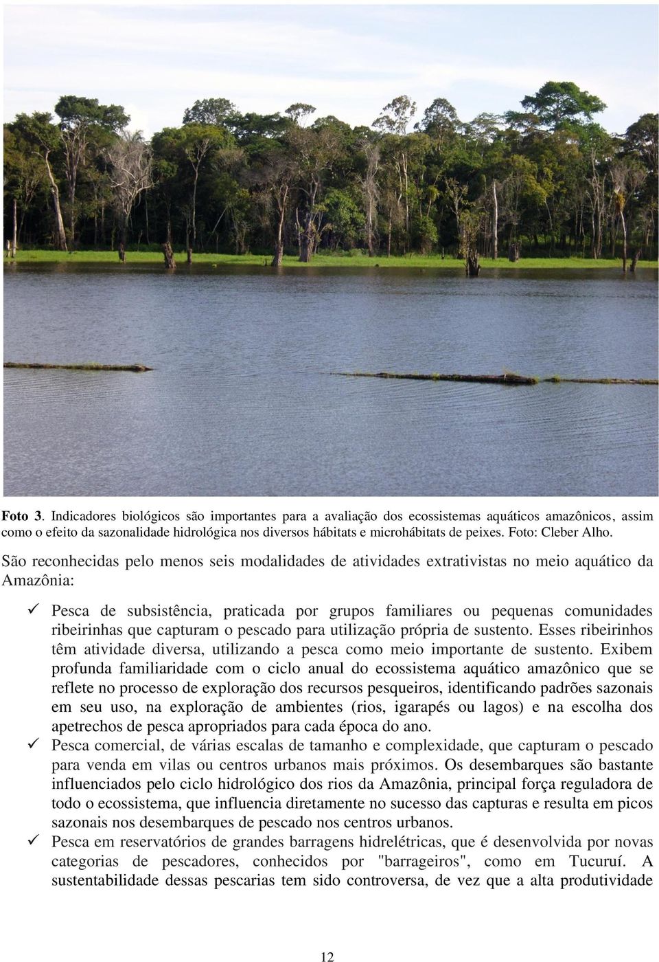 São reconhecidas pelo menos seis modalidades de atividades extrativistas no meio aquático da Amazônia: Pesca de subsistência, praticada por grupos familiares ou pequenas comunidades ribeirinhas que