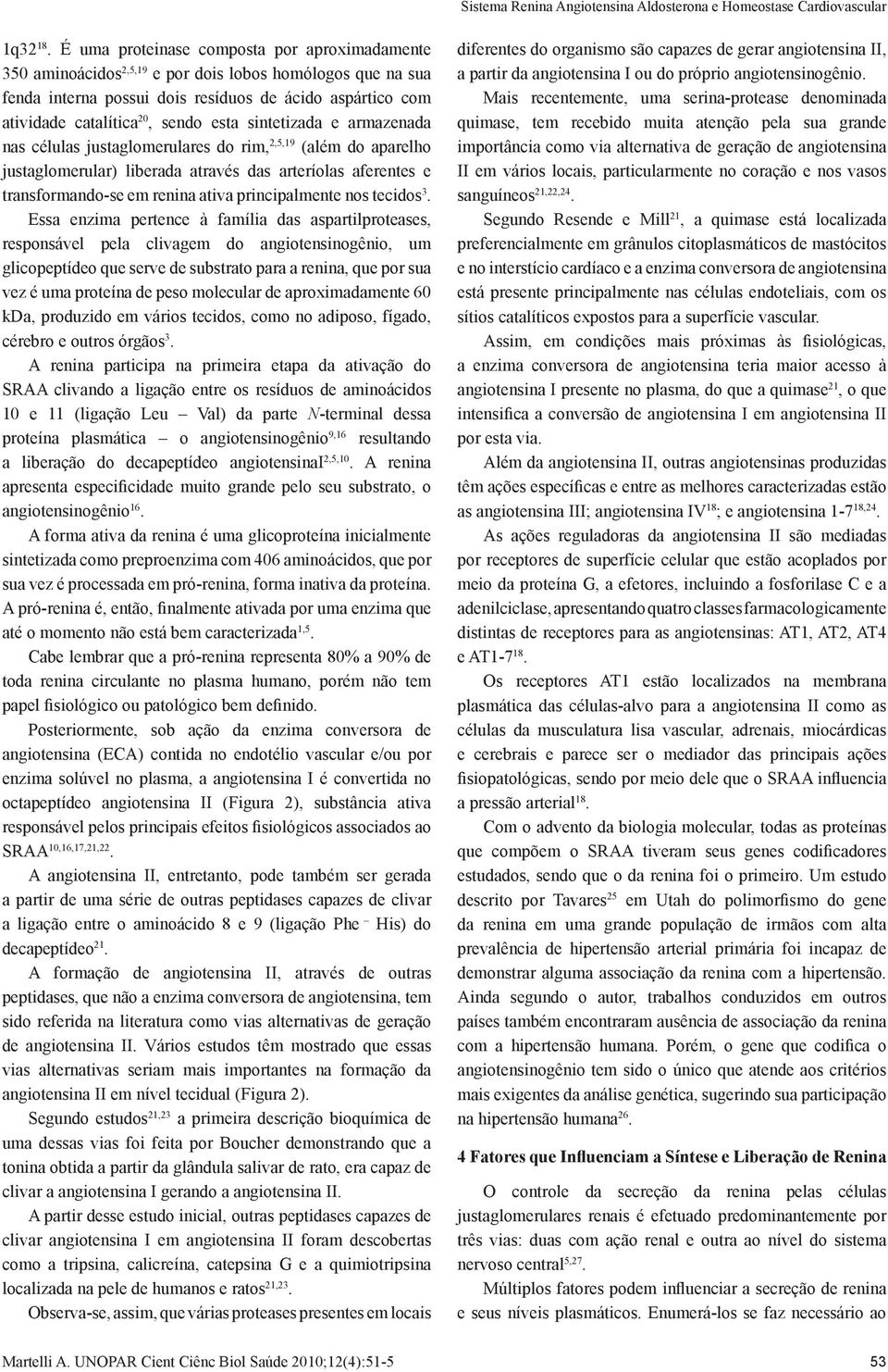 esta sintetizada e armazenada nas células justaglomerulares do rim, 2,5,19 (além do aparelho justaglomerular) liberada através das arteríolas aferentes e transformando-se em renina ativa