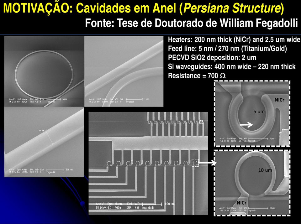 5 um wide Feed line: 5 nm / 270 nm (Titanium/Gold) PECVD SiO2