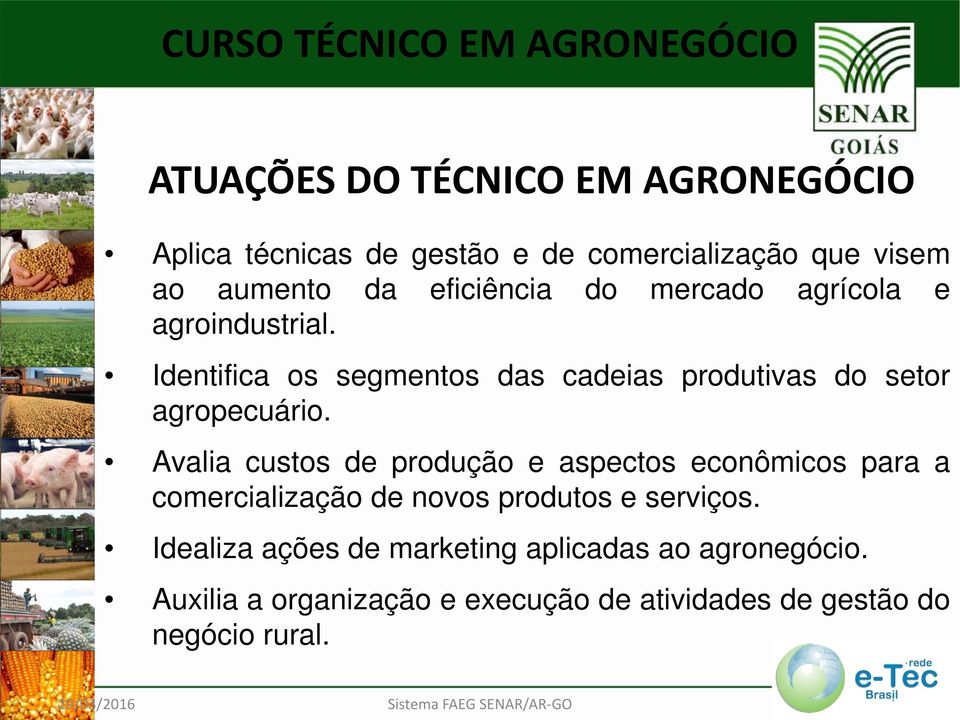 Avalia custos de produção e aspectos econômicos para a comercialização de novos produtos e serviços.