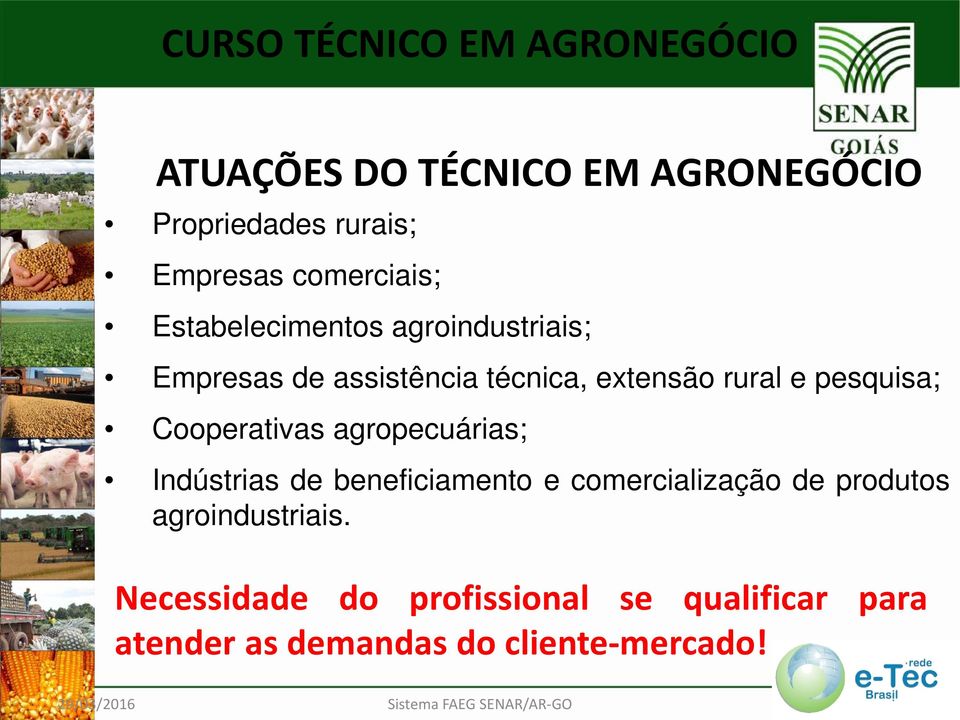 agropecuárias; Indústrias de beneficiamento e comercialização de produtos agroindustriais.