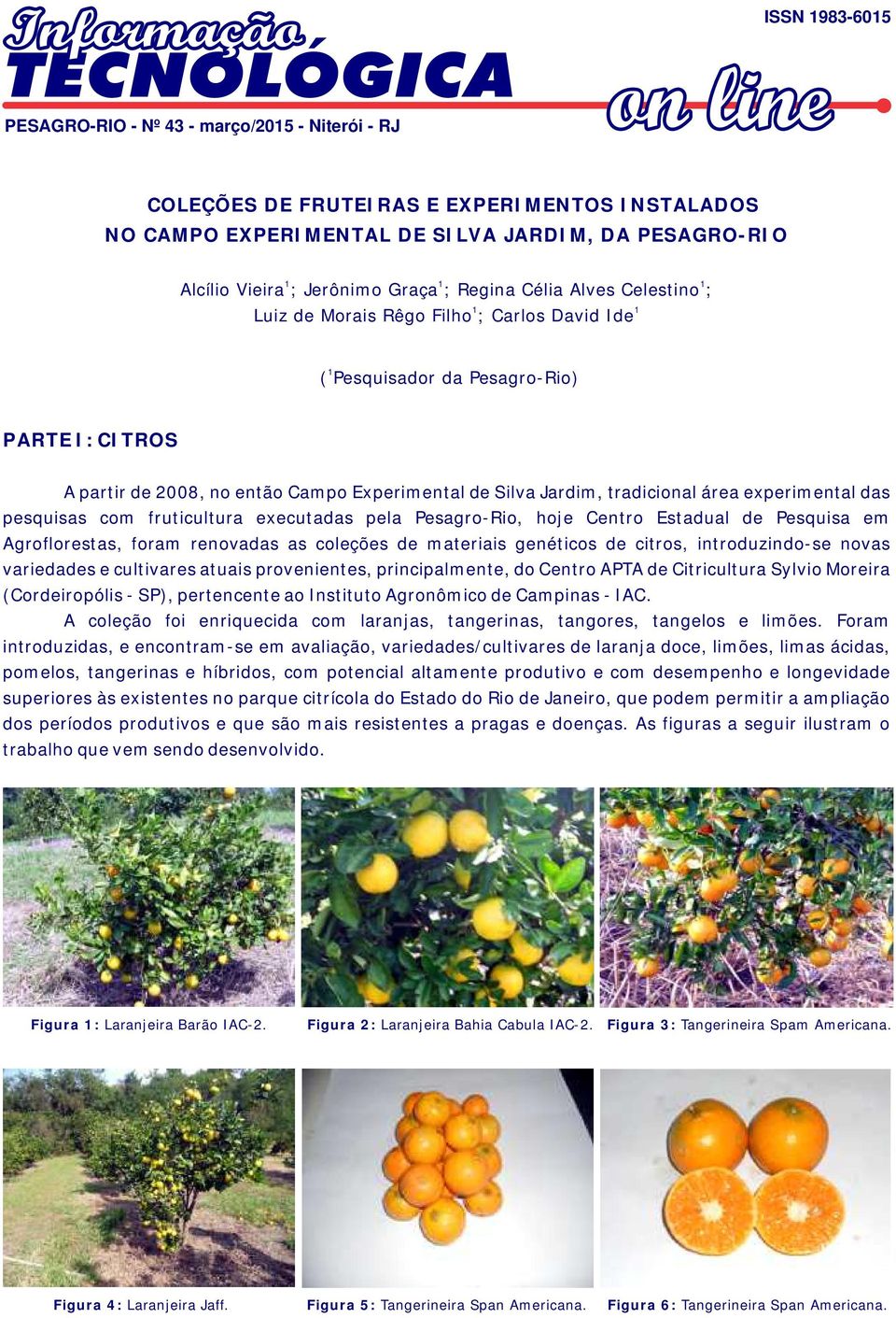 tradicional área experimental das pesquisas com fruticultura executadas pela Pesagro-Rio, hoje Centro Estadual de Pesquisa em Agroflorestas, foram renovadas as coleções de materiais genéticos de