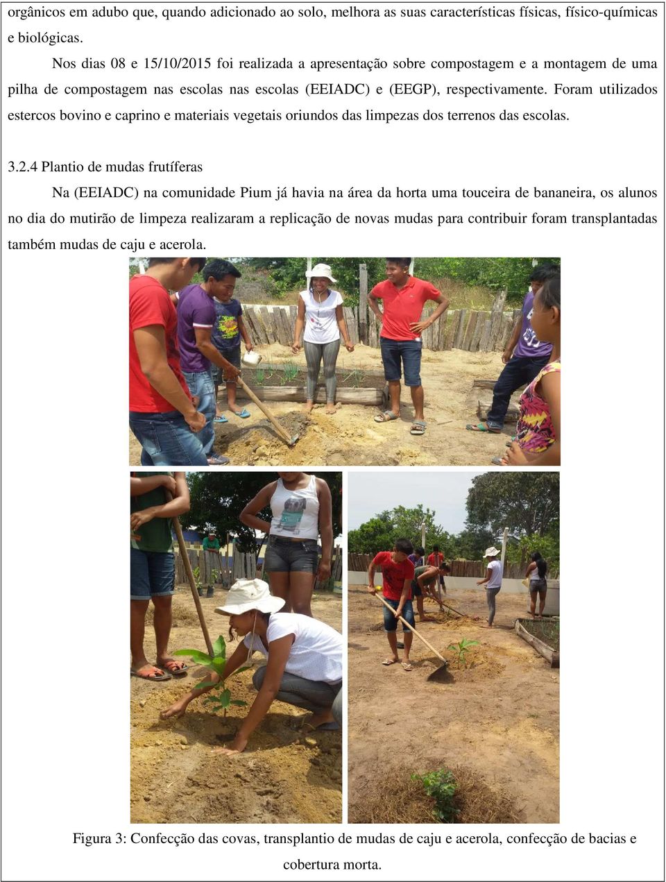 Foram utilizados estercos bovino e caprino e materiais vegetais oriundos das limpezas dos terrenos das escolas. 3.2.