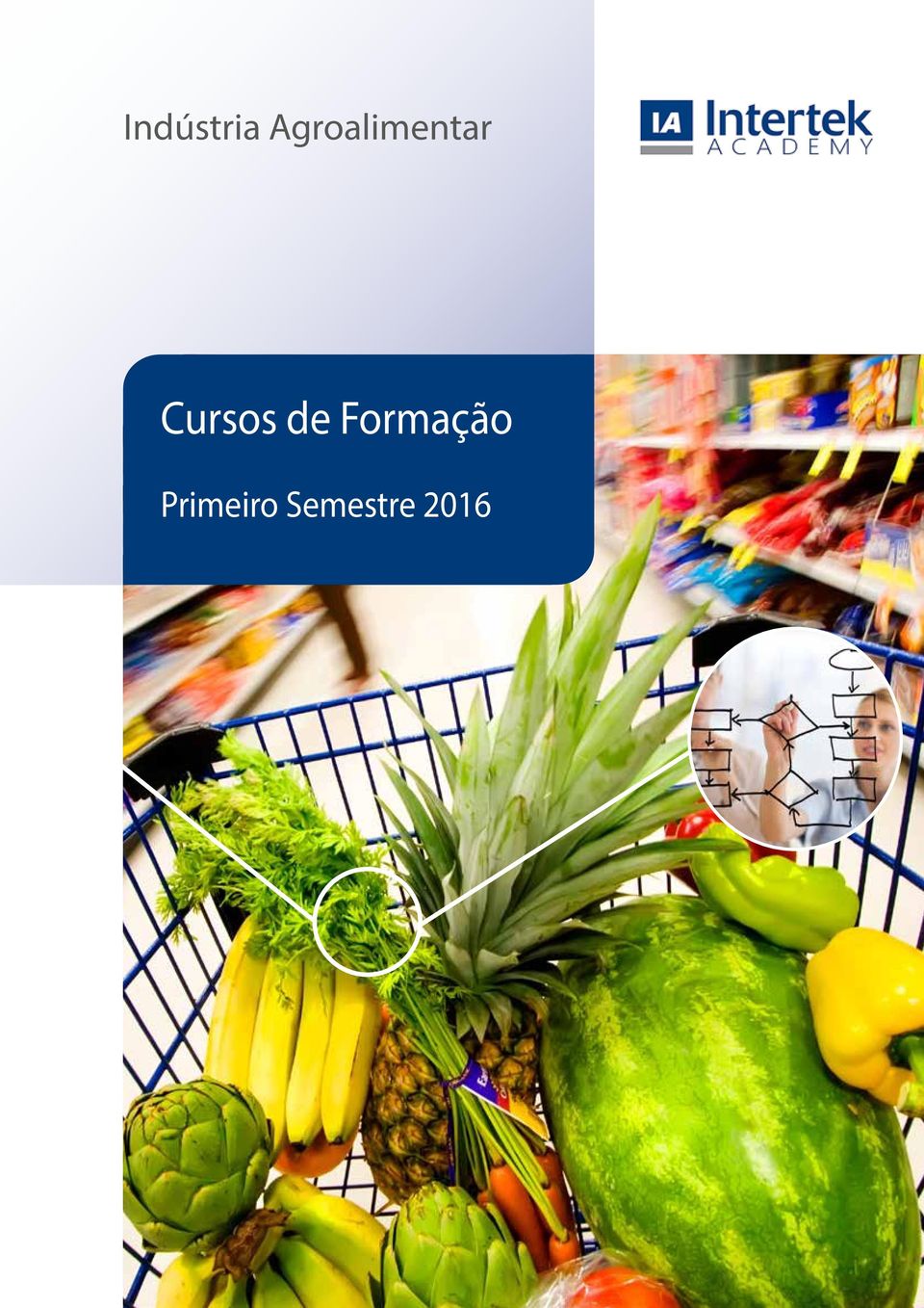 Cursos de