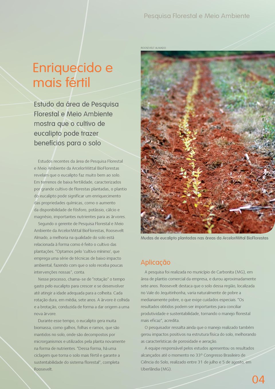 Em terrenos de baixa fertilidade, caracterizados por grande cultivo de florestas plantadas, o plantio do eucalipto pode significar um enriquecimento das propriedades químicas, como o aumento da
