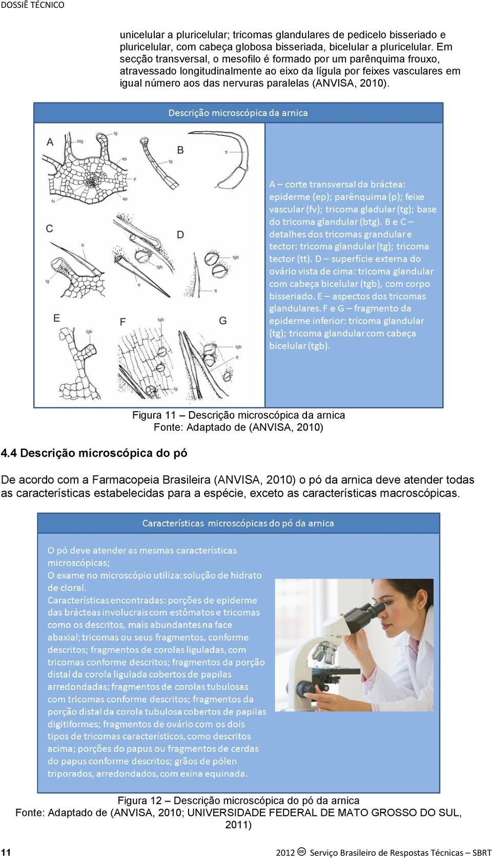 4.4 Descrição microscópica do pó Figura 11 Descrição microscópica da arnica Fonte: Adaptado de (ANVISA, 2010) De acordo com a Farmacopeia Brasileira (ANVISA, 2010) o pó da arnica deve atender todas