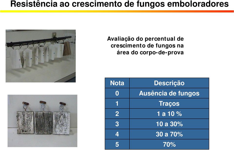 área do corpo-de-prova Nota Descrição 0 Ausência de