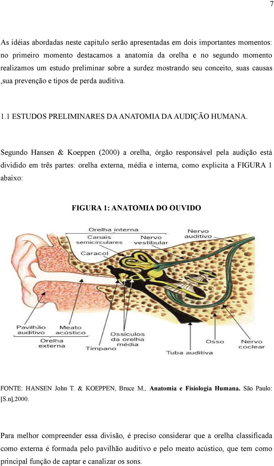 Segundo Hansen & Koeppen (2000) a orelha, órgão responsável pela audição está dividido em três partes: orelha externa, média e interna, como explicita a FIGURA 1 abaixo: FIGURA 1: ANATOMIA DO OUVIDO