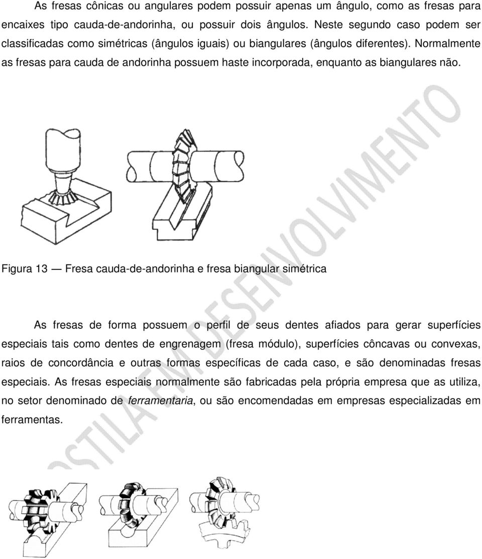 Normalmente as fresas para cauda de andorinha possuem haste incorporada, enquanto as biangulares não.