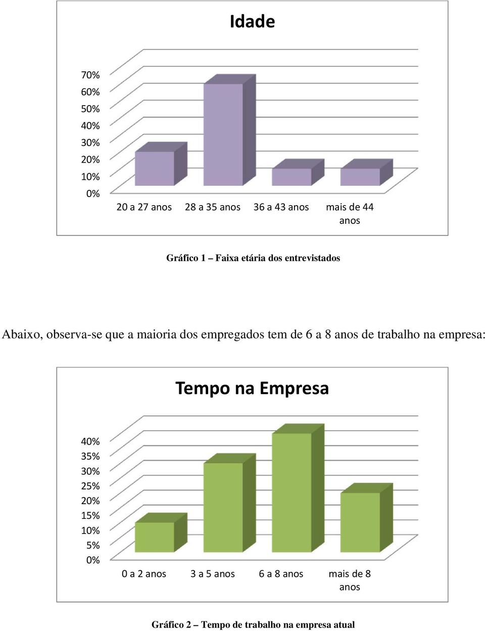 tem de 6 a 8 anos de trabalho na empresa: Tempo na Empresa 40% 35% 30% 25% 20% 15% 10% 5%