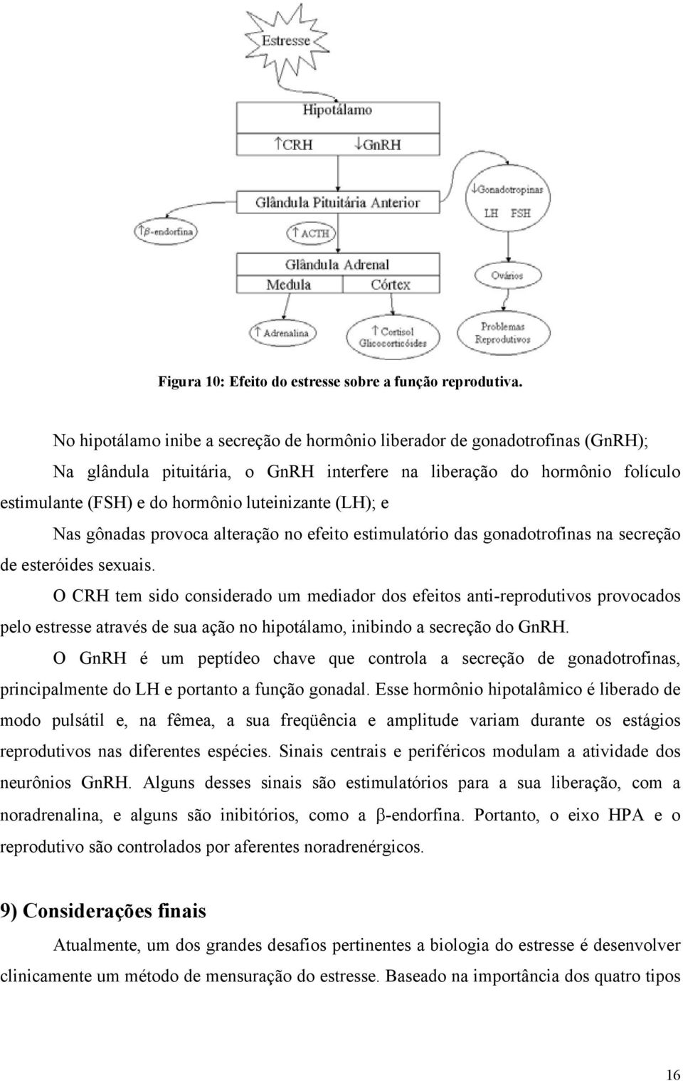 (LH); e Nas gônadas provoca alteração no efeito estimulatório das gonadotrofinas na secreção de esteróides sexuais.