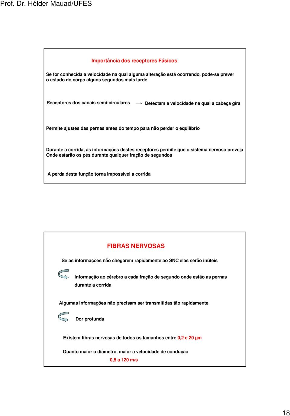 sistema nervoso preveja Onde estarão os pés durante qualquer fração de segundos A perda desta função torna impossível a corrida FIBRAS NERVOSAS Se as informações não chegarem rapidamente ao SNC elas