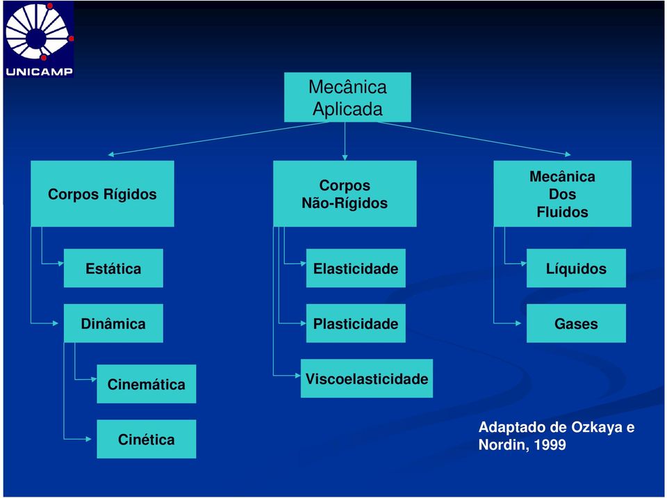 Elasticidade Líquidos Dinâmica Plasticidade Gases