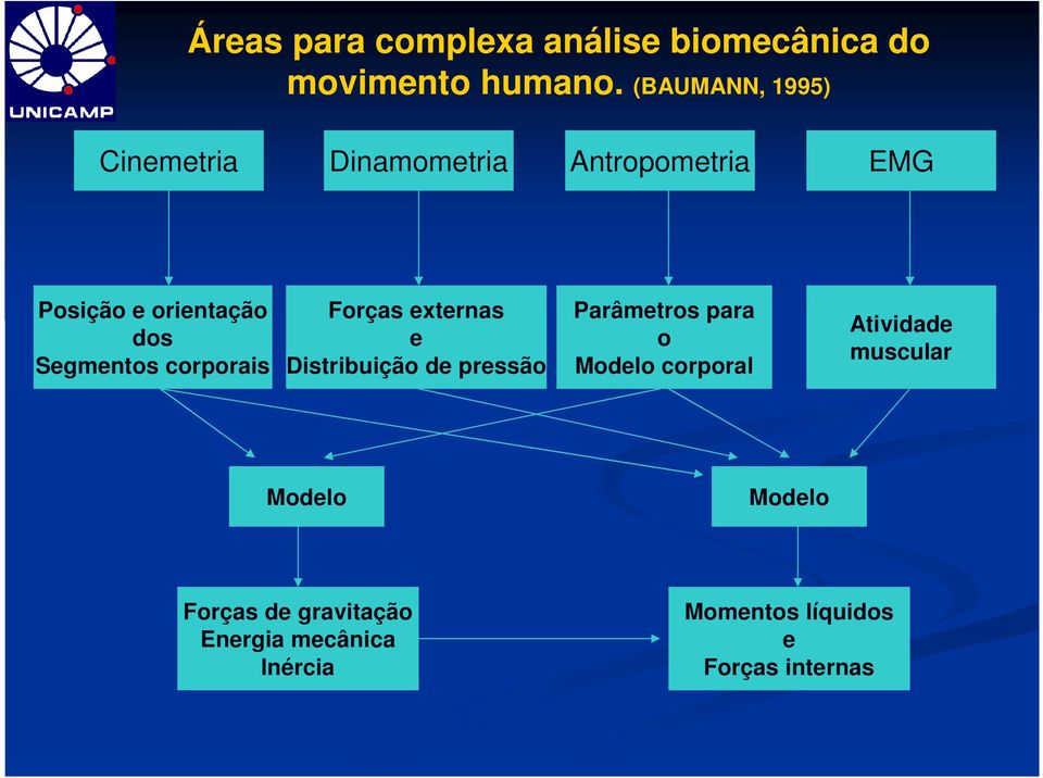 Segmentos corporais Forças externas e Distribuição de pressão Parâmetros para o Modelo