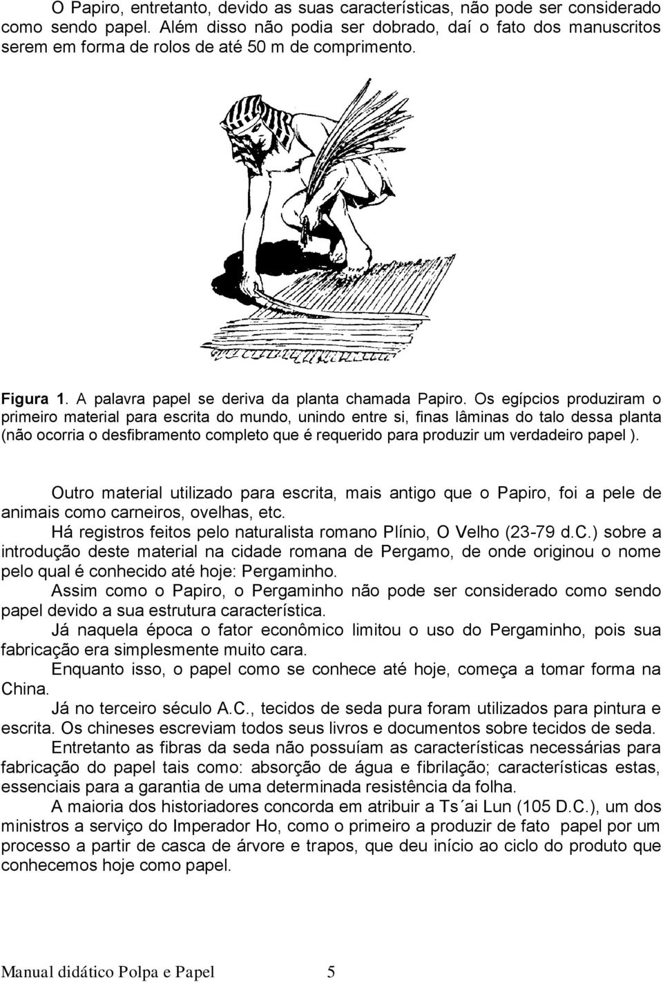 Os egípcios produziram o primeiro material para escrita do mundo, unindo entre si, finas lâminas do talo dessa planta (não ocorria o desfibramento completo que é requerido para produzir um verdadeiro