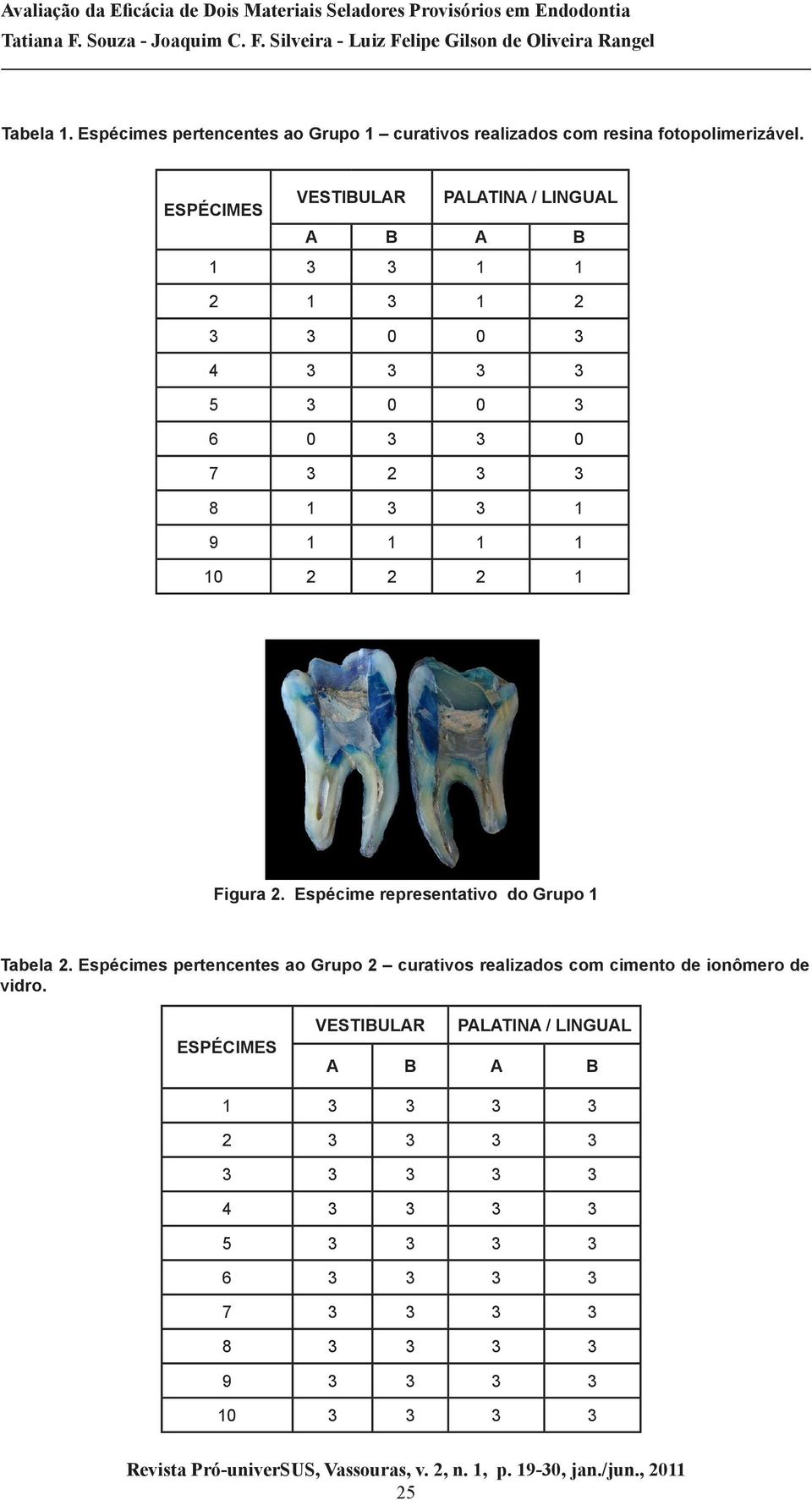 1 1 10 2 2 2 1 Figura 2. Espécime representativo do Grupo 1 Tabela 2.