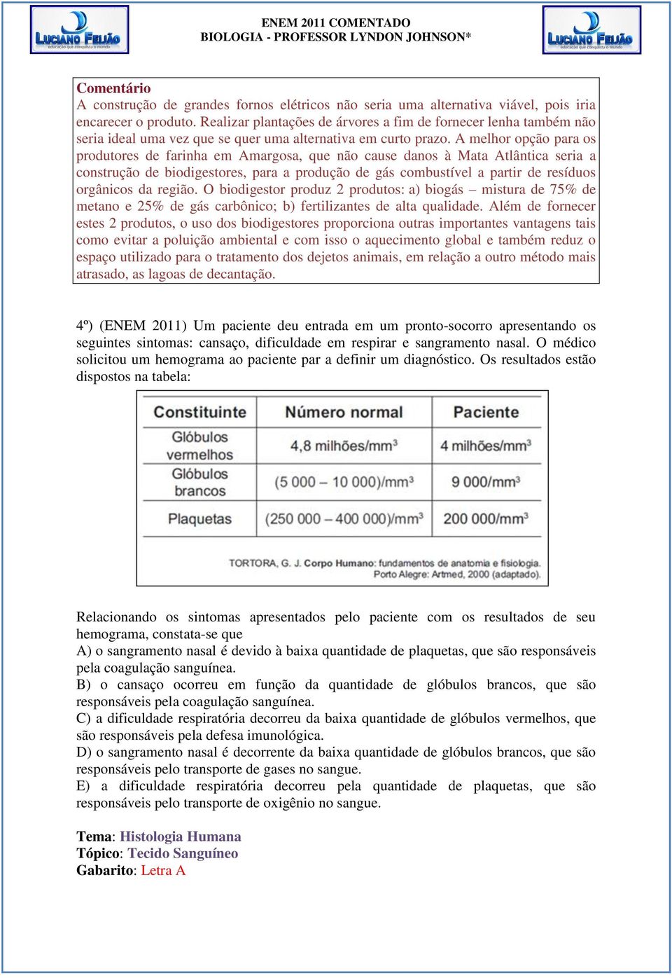 A melhor opção para os produtores de farinha em Amargosa, que não cause danos à Mata Atlântica seria a construção de biodigestores, para a produção de gás combustível a partir de resíduos orgânicos