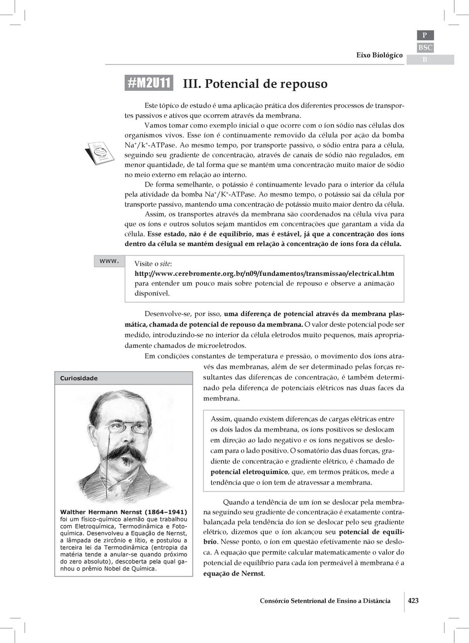 Ao mesmo tempo, por transporte passivo, o sódio entra para a célula, seguindo seu gradiente de concentração, através de canais de sódio não regulados, em menor quantidade, de tal forma que se mantém