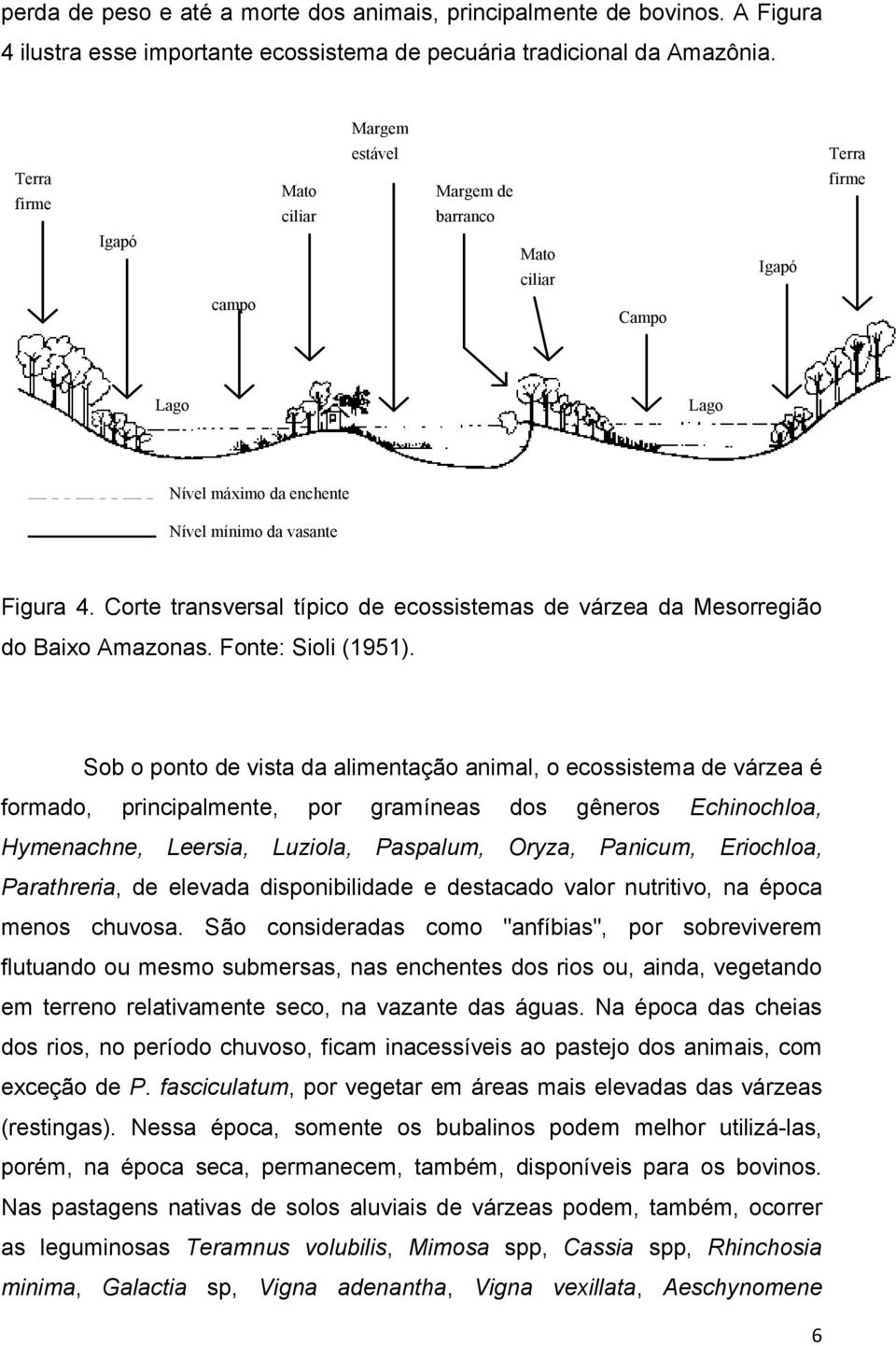 Corte transversal típico de ecossistemas de várzea da Mesorregião do Baixo Amazonas. Fonte: Sioli (1951).