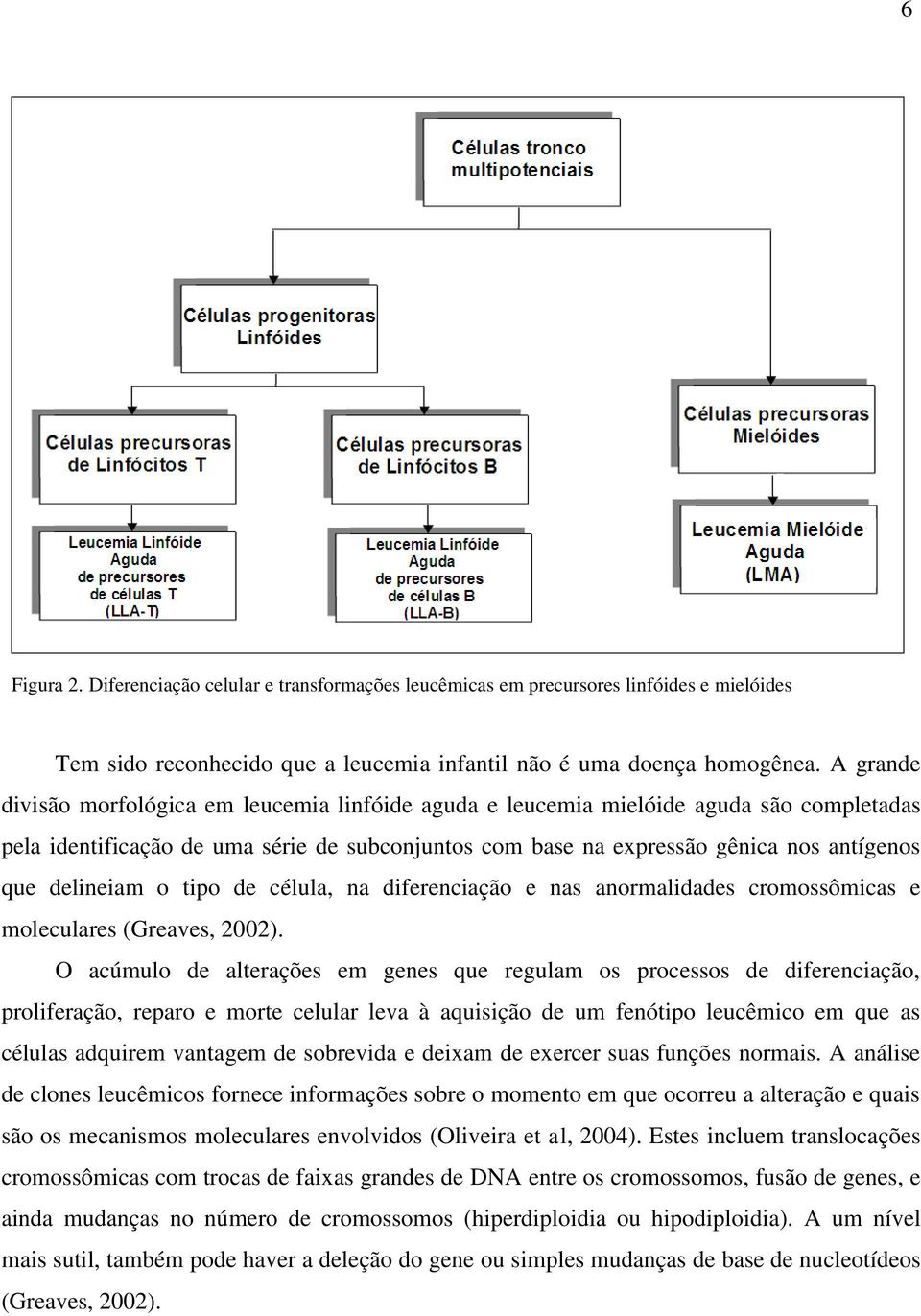 delineiam o tipo de célula, na diferenciação e nas anormalidades cromossômicas e moleculares (Greaves, 2002).