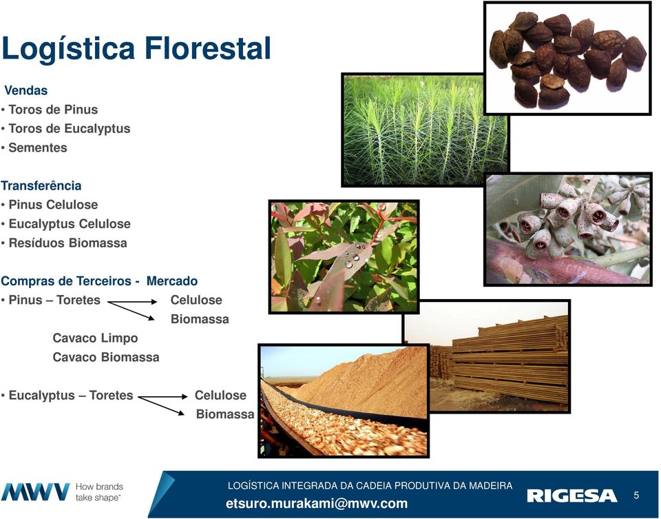 Biomassa Compras de Terceiros - Mercado Pinus Toretes Celulose