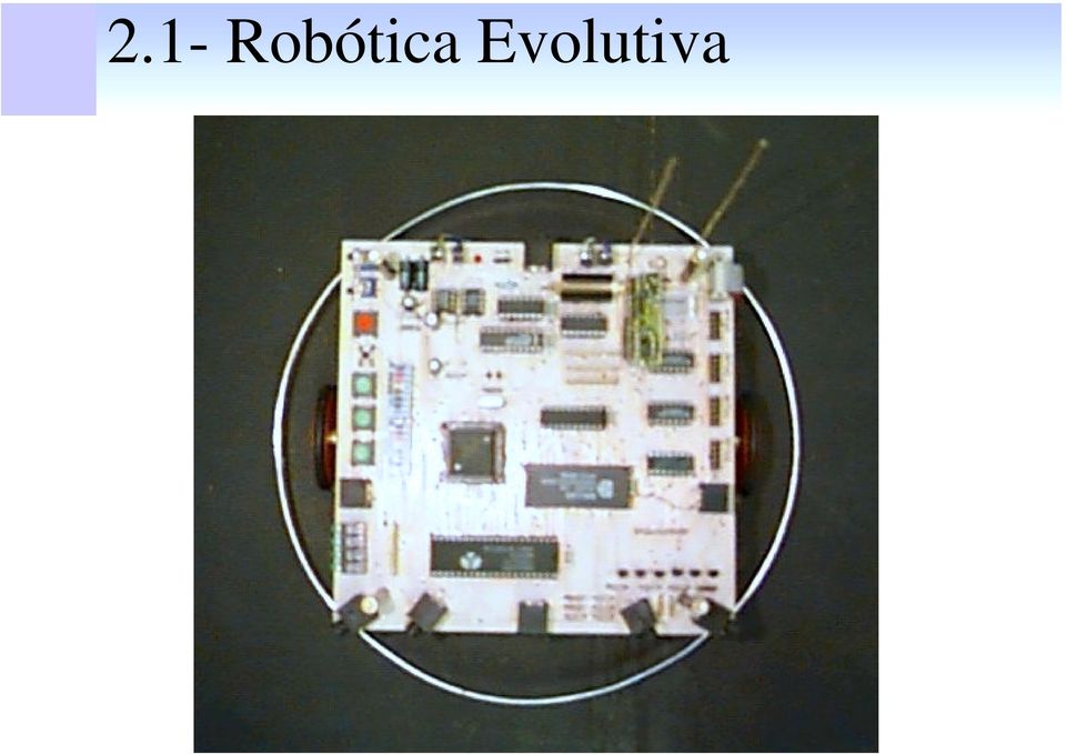 Evolutiva